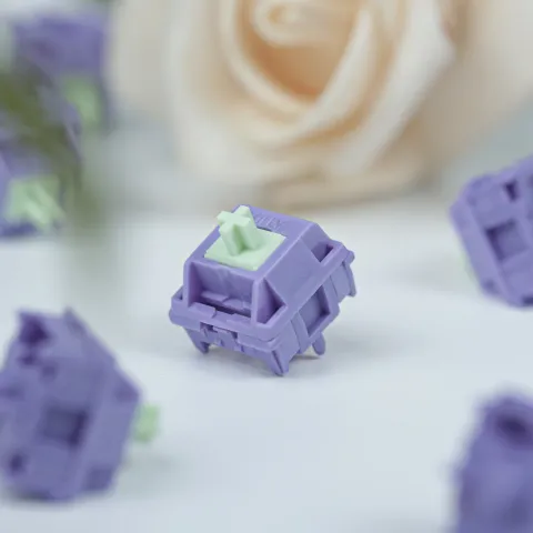 HMX Hyacinth V2U 3